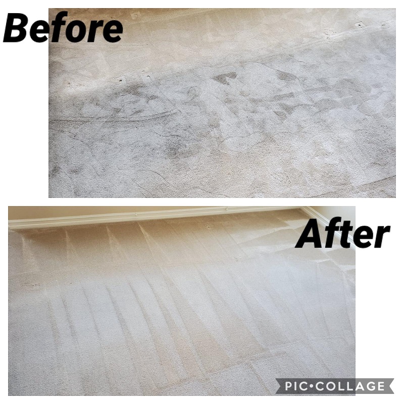 pro steam carpet cleaning long beach before and after