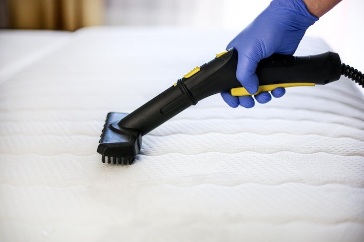 Unveiling the Secrets of Green Carpet Cleaning for a Healthier Home